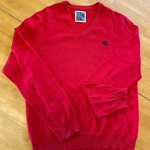 Express V-Neck Sweater